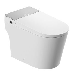 smart toilet