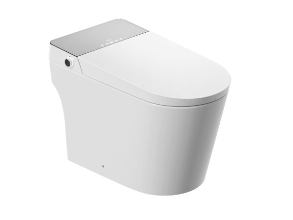 smart toilet