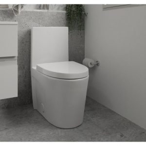 Celite form one piece toilet