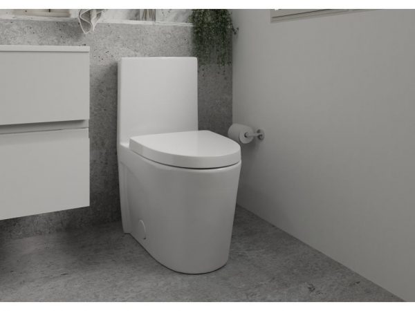 Celite form one piece toilet