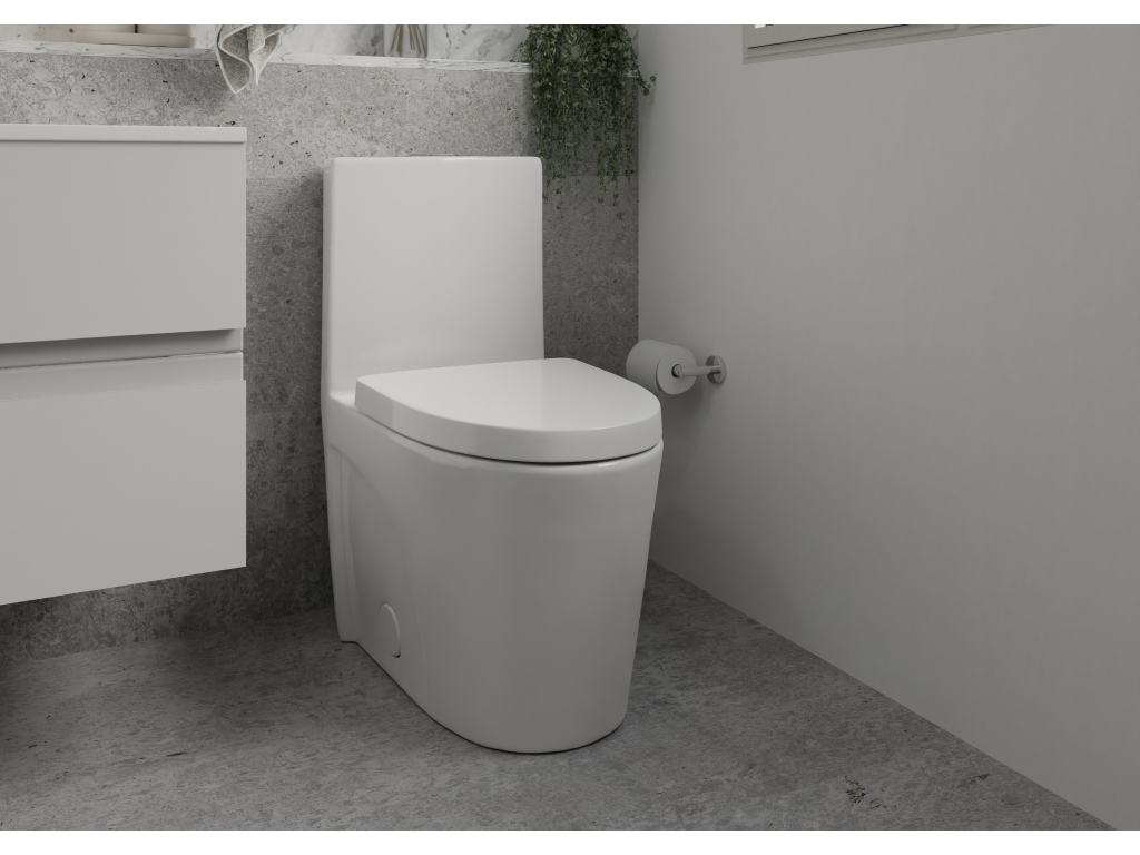 Celite form one piece toilet